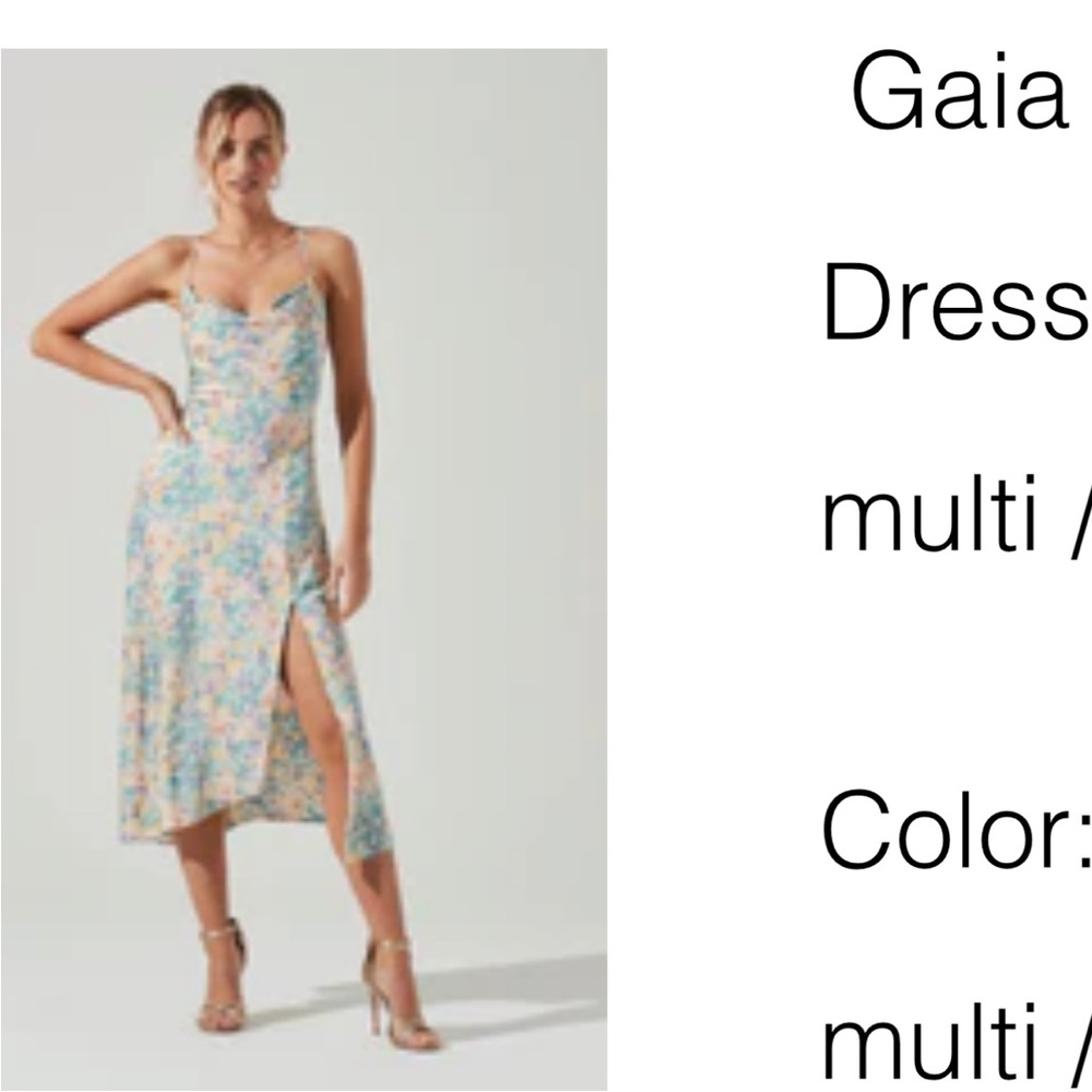 ASTR floral midi